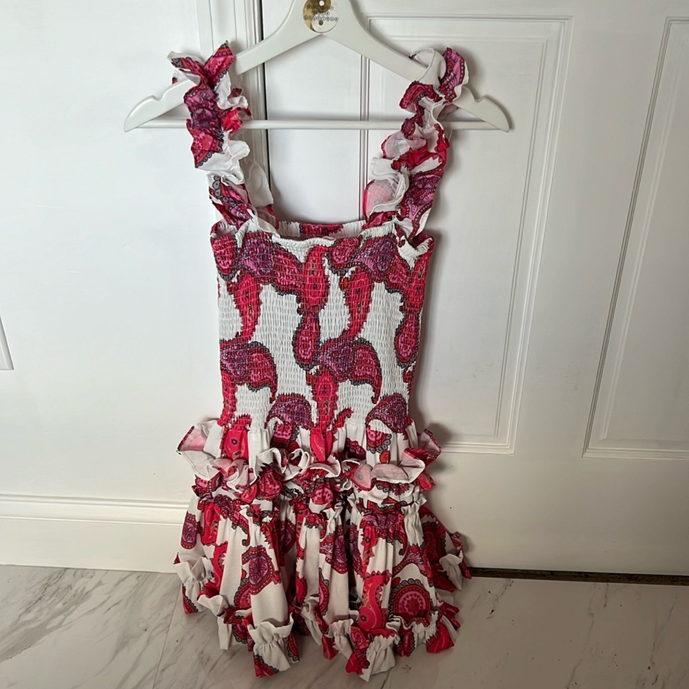 Paisley Chic Pink Dress
